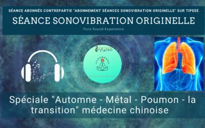 07/08/2024 Séance SonoVibration Originelle spéciale « Automne – Métal – Poumon – la transition » au niveau Multidimensionnel