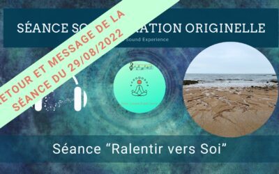 Retour et message reçu lors de la séance SonoVibration Originelle spéciale « Ralentir vers Soi »