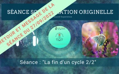 Retour et message reçu lors de la séance SonoVibration Originelle spéciale « La fin d’un cycle 2/2 »