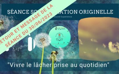 Retour et message reçu lors de la séance SonoVibration Originelle spéciale « Vivre le lâcher prise au quotidien » du 30/06