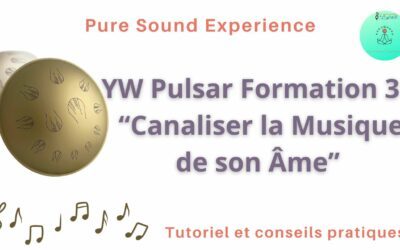 19/06/2024 Formation « Canaliser la Musique de son Âme » YW Pulsar No3