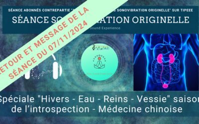 Retour et message reçu lors de la séance SonoVibration Originelle spéciale « Hivers – Eau – Reins – Vessie » du 07/11/2024